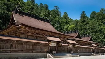 本宫独得偏宠，本宫已上线攻略