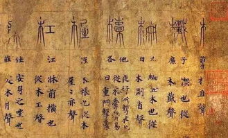 亭的部首是什么?