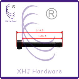 Polish 是什么意思