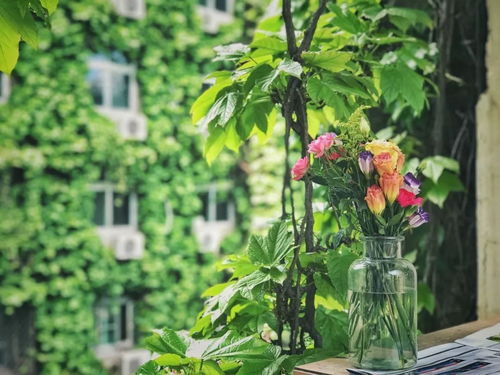 女孩是花家是什么意思