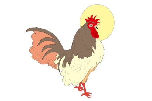 属鸡2023年运程及运势详解2023年属鸡人全年每月运势