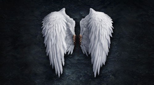 悲伤的天使钢琴谱，悲伤的天使表达了什么