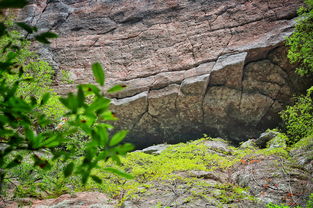 仙人居风景区有什么好玩的，仙人居门票多少钱