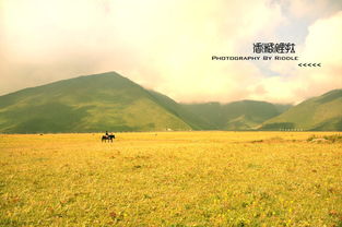 宁静致远的寓意和象征，淡薄明智,宁静志远