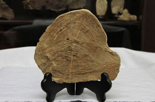 板头沉香，板头曲