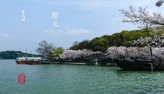 无锡当地有哪些好玩的旅游景点?