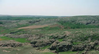 东海县桃林镇最大的蔬菜批发市场