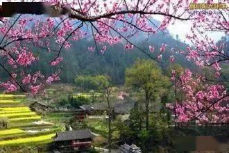 雨过山村翻译，雨过山村王建