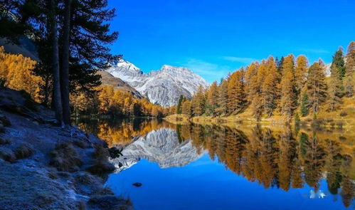 自然之美英语，自然之美啤酒