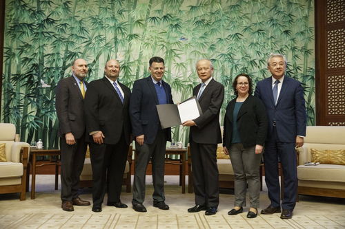 peering是什么意思，peering at