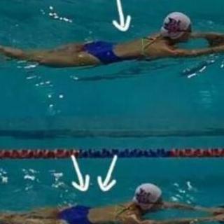 爬泳又被称为什么，爬泳教学