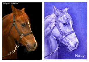 绳的拼音字，李代桃缰的拼音