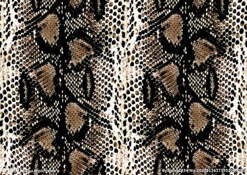 蛇纹石玉值钱吗，蛇纹石玉手镯价格大概