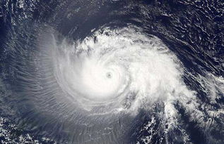 飓风和台风的区别是什么?