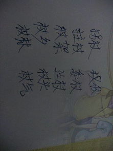 杖字组词和部首，杖的组词组