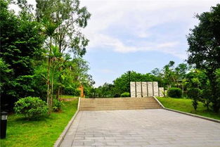 榴花公园属于东莞哪个镇，榴花公园开放时间