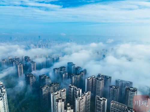 金牛区天气预报15天查询，金牛区天气预报详情