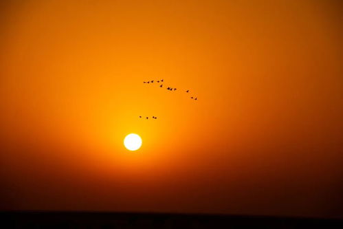 秋天天空的描写有哪些?