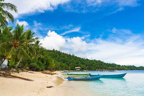 海南省的介绍(越详细越好)