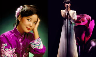 清平调王菲邓丽君隔空对唱，清平调王菲歌词什么意思