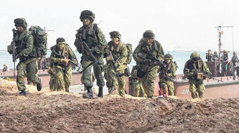 求csol丛林猛虎原型