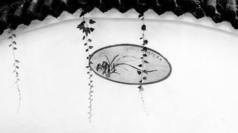 浮光掠影的拼音怎么写的拼，浮光掠影,的拼音