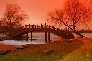 柳桥晚眺运用了什么写法