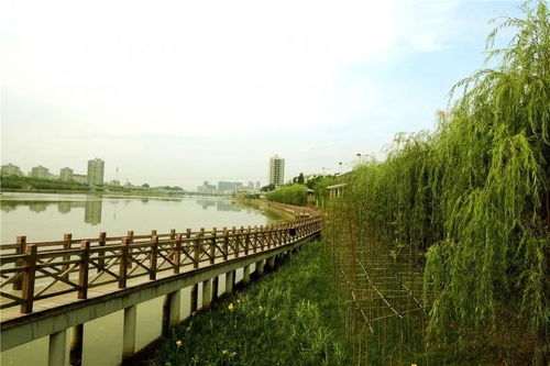 江水生肖是什么动物，江水生物