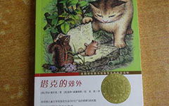 塔克的郊外读后感100字，塔克的郊外读后感300