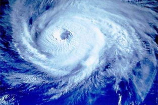 台风名字怎么命名的