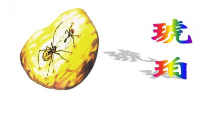琥珀 课件，琥珀教学课件