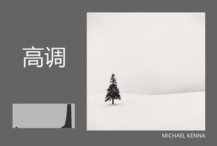 高调是什么意思?