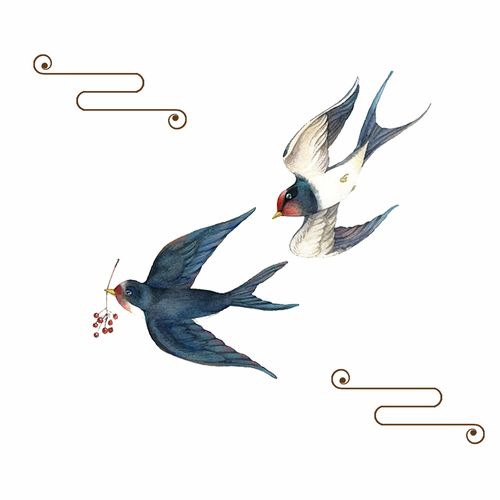 小学三年级下语文 燕子课文写了燕子的哪些特点