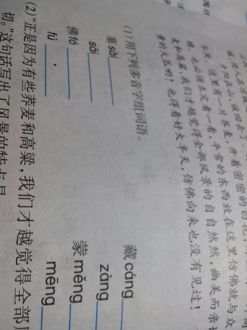 晃的多音字组词