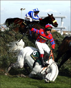 马失前蹄啥意思，马失前蹄的典故出处