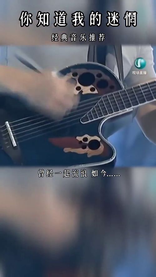 大地》、《光辉岁月》……的中文歌词是什么;谢谢!