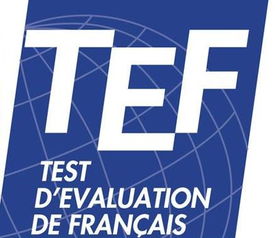 [TEF] TEF必考考试简介