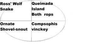 critically endangered，critically acclaimed