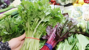 鸡冠花的寓意和象征