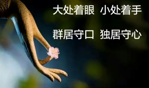 大处着眼小处着手的意思，着手成春的意思