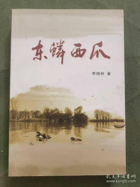 ﻿东鳞西爪什么意思?有什么典故?