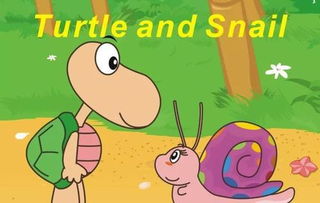 蜗牛英语单词怎么写，法式蜗牛英语