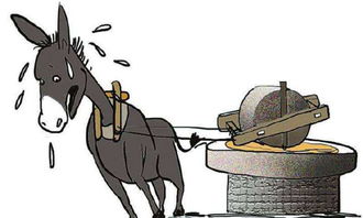 关于驴的歇后语