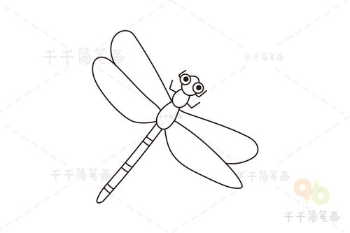 如何画蜻蜓简笔画