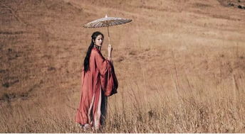 易水萧萧西风冷的解释是什么