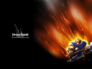 天度村位于哪个市