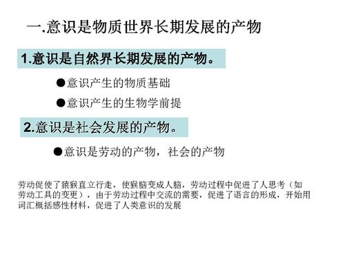 意识的本质是指