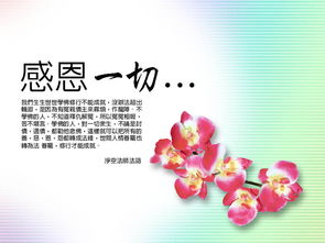 我学会了感恩800字作文，我学会了感恩作文350字