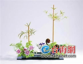 周末生活图片，周末生活作文三年级