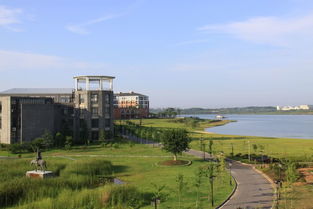 华中农业大学在哪个区